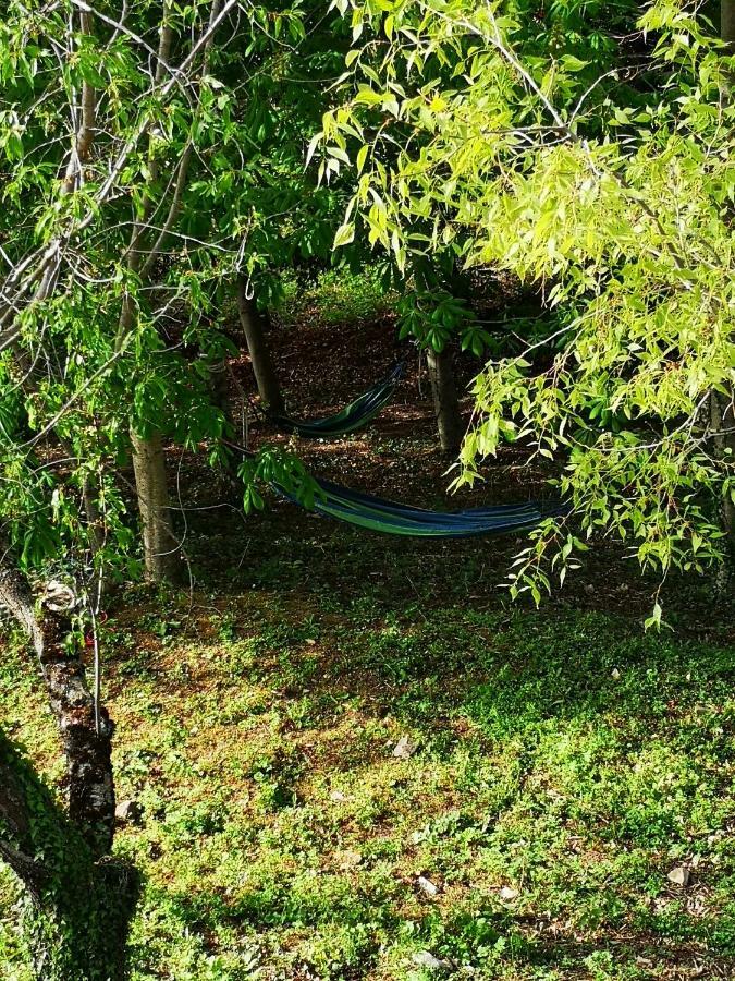 Agriturismo Il Noceto Villa Асизи Екстериор снимка