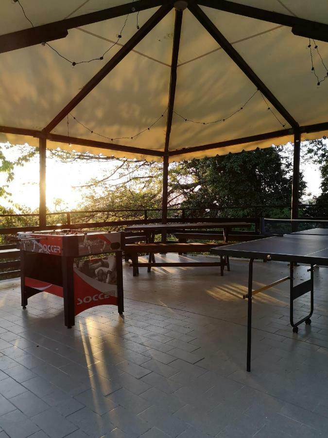 Agriturismo Il Noceto Villa Асизи Екстериор снимка