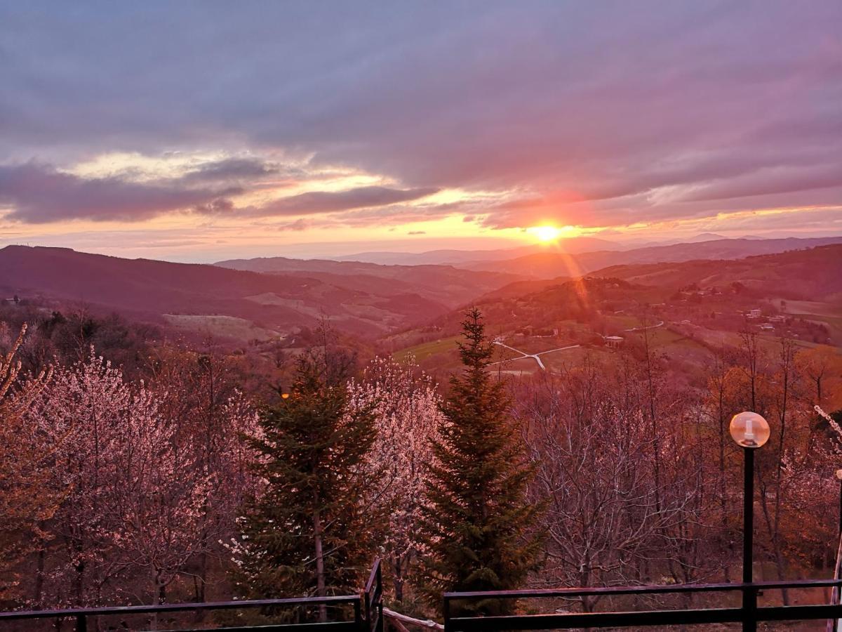 Agriturismo Il Noceto Villa Асизи Екстериор снимка