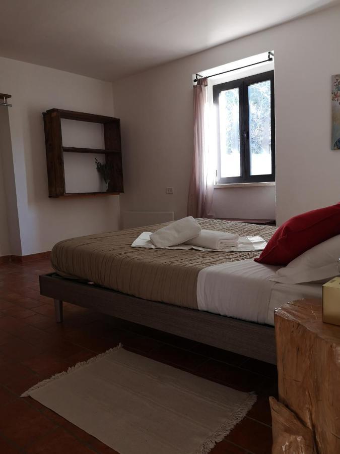 Agriturismo Il Noceto Villa Асизи Екстериор снимка