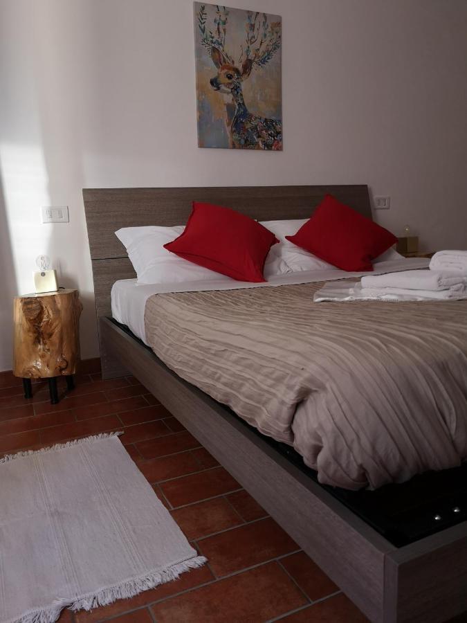 Agriturismo Il Noceto Villa Асизи Екстериор снимка