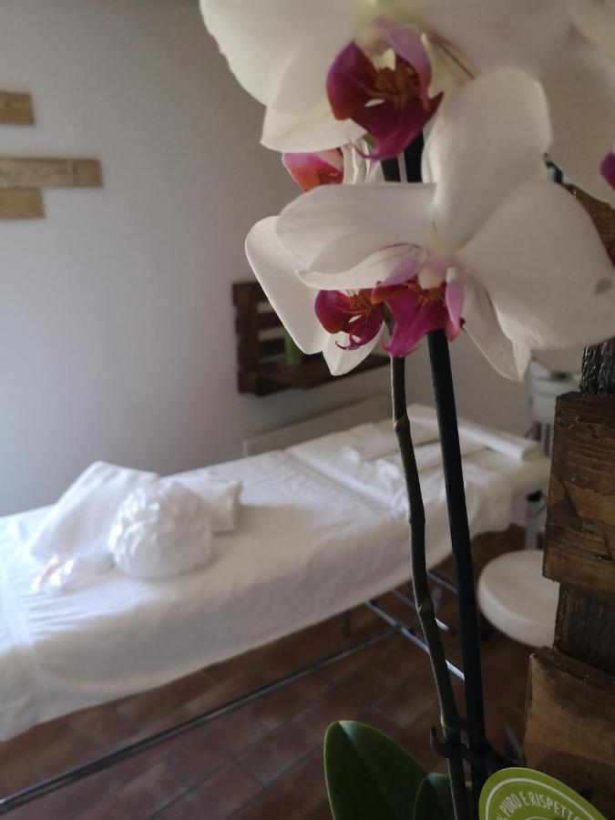 Agriturismo Il Noceto Villa Асизи Екстериор снимка